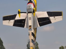 Flugtag 2022